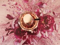 Beautystories - Victor & Rolf Flowerbomb Nectar